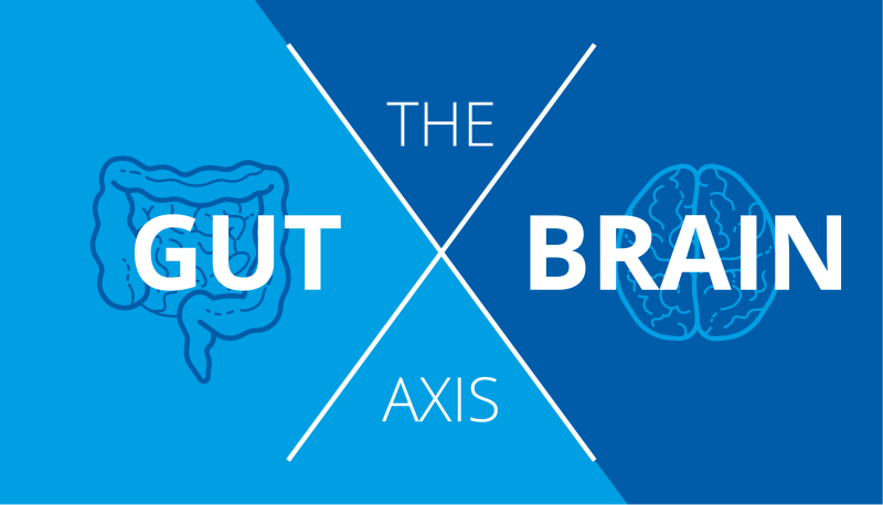 The Gut-Brain Axis: How Your Gut Dictates Your Mental Health